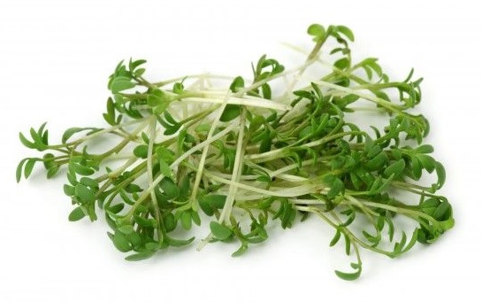 Tuinkers